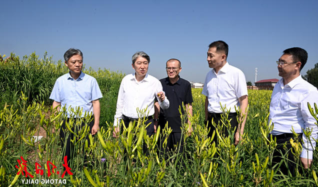 澳门赌博平台
