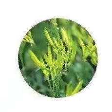 澳门赌博平台