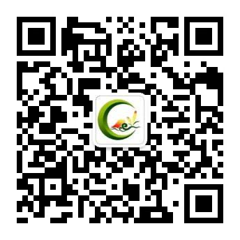 澳门赌博平台